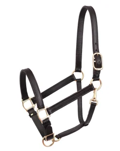 PERRIS LEATHER Perri’s® Leather Turnout Yearling Halter Havana Outlet
