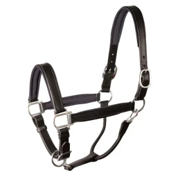 PERRIS LEATHER Perri’s® Padded Leather Halter Crownpiece Black/Black Sale