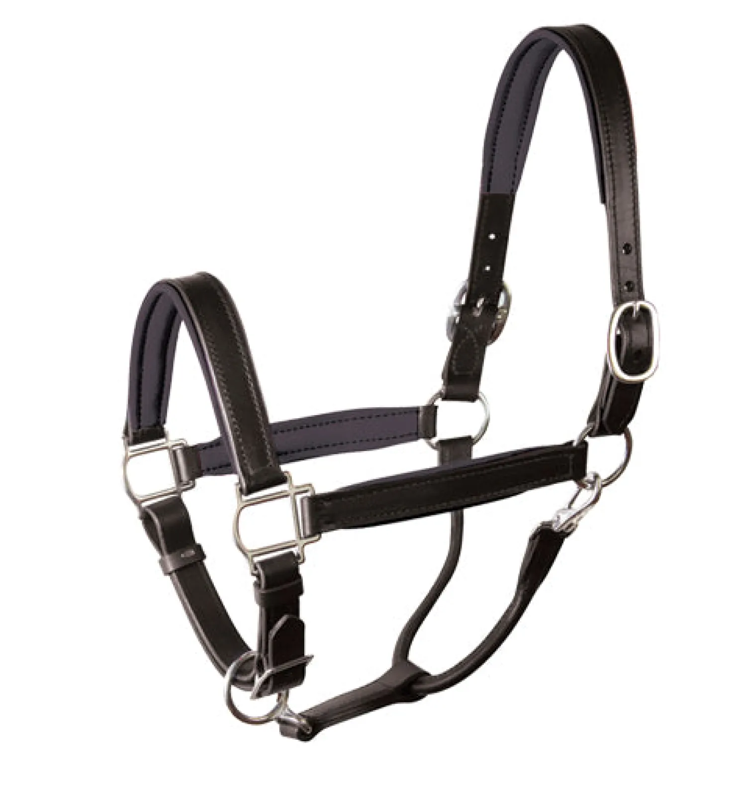 PERRIS LEATHER Perri’s® Padded Leather Halter Crownpiece Black/Black Sale
