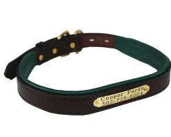 PERRIS LEATHER Perri’s® Padded Leather Nameplate Dog Collar Best