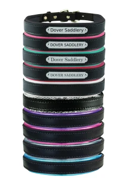 PERRIS LEATHER Perri’s® Padded Leather Nameplate Dog Collar Best