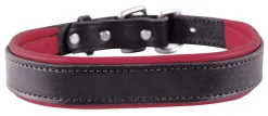 PERRIS LEATHER Perri’s® Padded Leather Nameplate Dog Collar Best