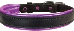 PERRIS LEATHER Perri’s® Padded Leather Nameplate Dog Collar Best