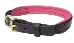 PERRIS LEATHER Perri’s® Padded Leather Nameplate Dog Collar Best