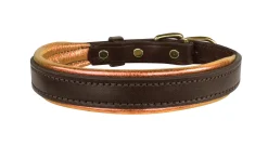PERRIS LEATHER Perri’s® Padded Leather Nameplate Dog Collar Best