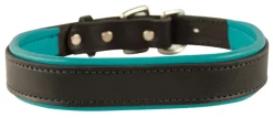 PERRIS LEATHER Perri’s® Padded Leather Nameplate Dog Collar Best