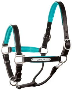 PERRIS LEATHER Perri’s® Padded Leather Pony Halter with Nameplate Online