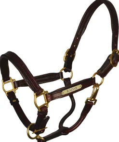 PERRIS LEATHER Perri’s® Padded Leather Pony Halter with Nameplate Online