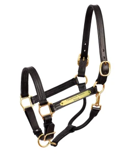 PERRIS LEATHER Perri’s® Premium 1" Leather Show Halter with Nameplate Best