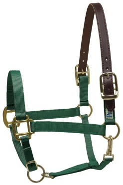 PERRIS LEATHER Perri’s® Premium Nylon Breakaway Halter Online