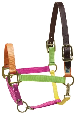 PERRIS LEATHER Perri’s® Premium Nylon Breakaway Halter Online