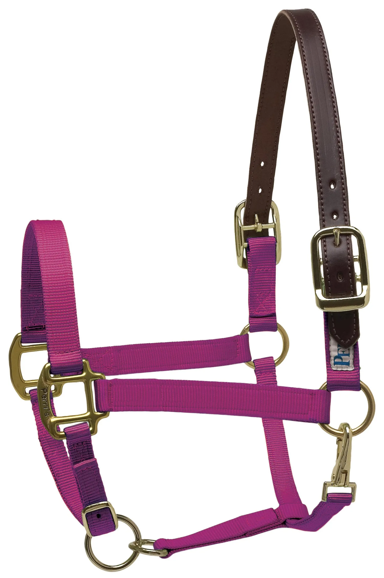 PERRIS LEATHER Perri’s® Premium Nylon Breakaway Halter Online