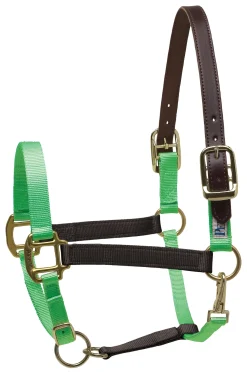 PERRIS LEATHER Perri’s® Premium Nylon Breakaway Halter Online