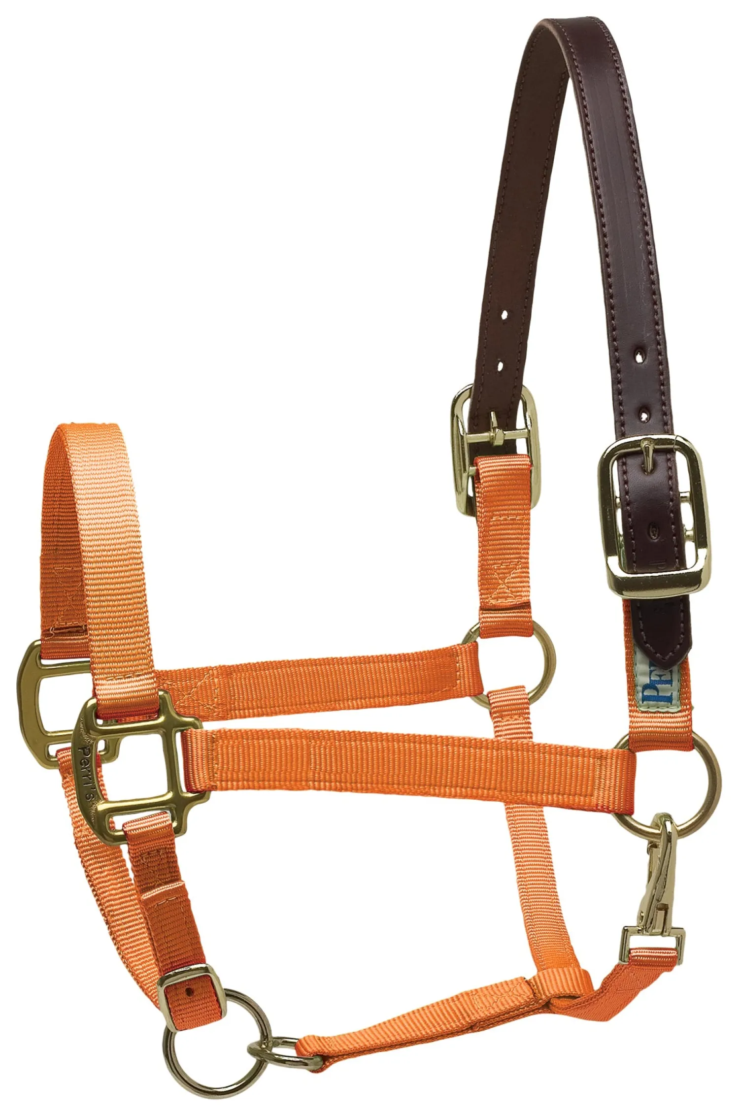 PERRIS LEATHER Perri’s® Premium Nylon Breakaway Halter Online
