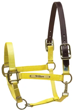 PERRIS LEATHER Perri’s® Premium Nylon Safety Halter with Nameplate Outlet