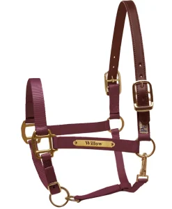 PERRIS LEATHER Perri’s® Premium Nylon Safety Halter with Nameplate Outlet