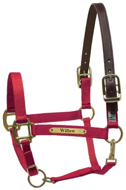 PERRIS LEATHER Perri’s® Premium Nylon Safety Halter with Nameplate Outlet