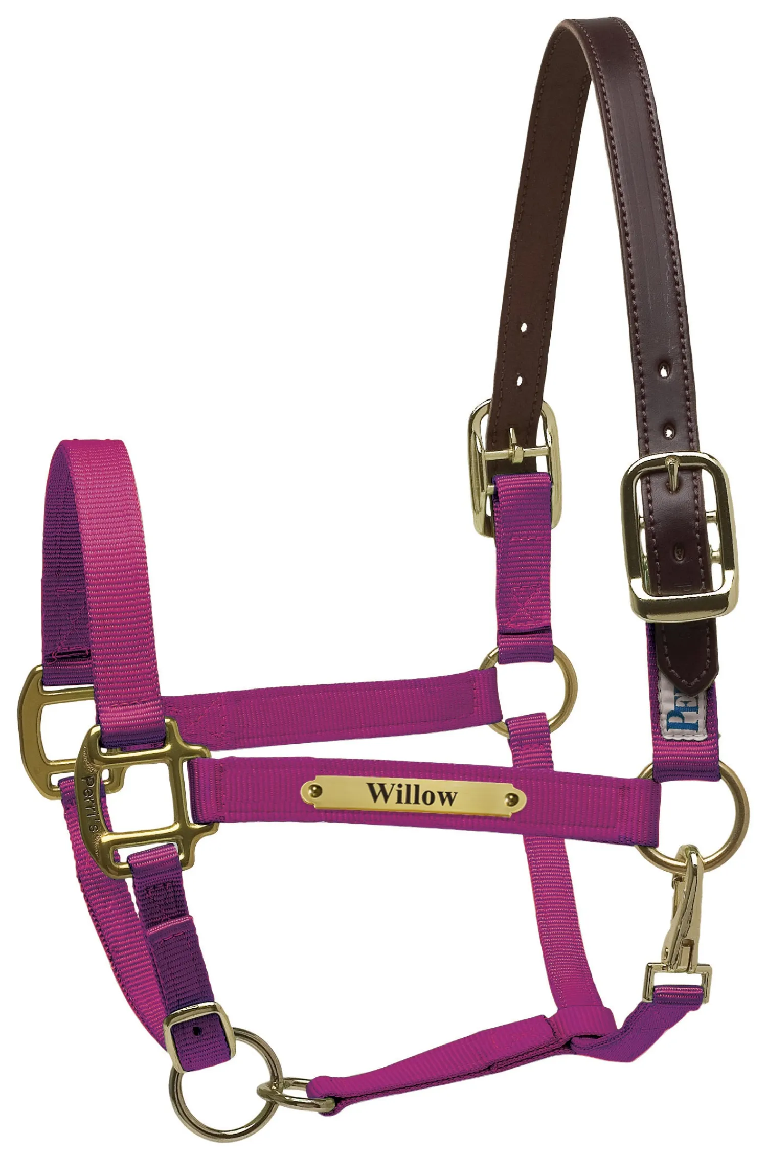 PERRIS LEATHER Perri’s® Premium Nylon Safety Halter with Nameplate Outlet