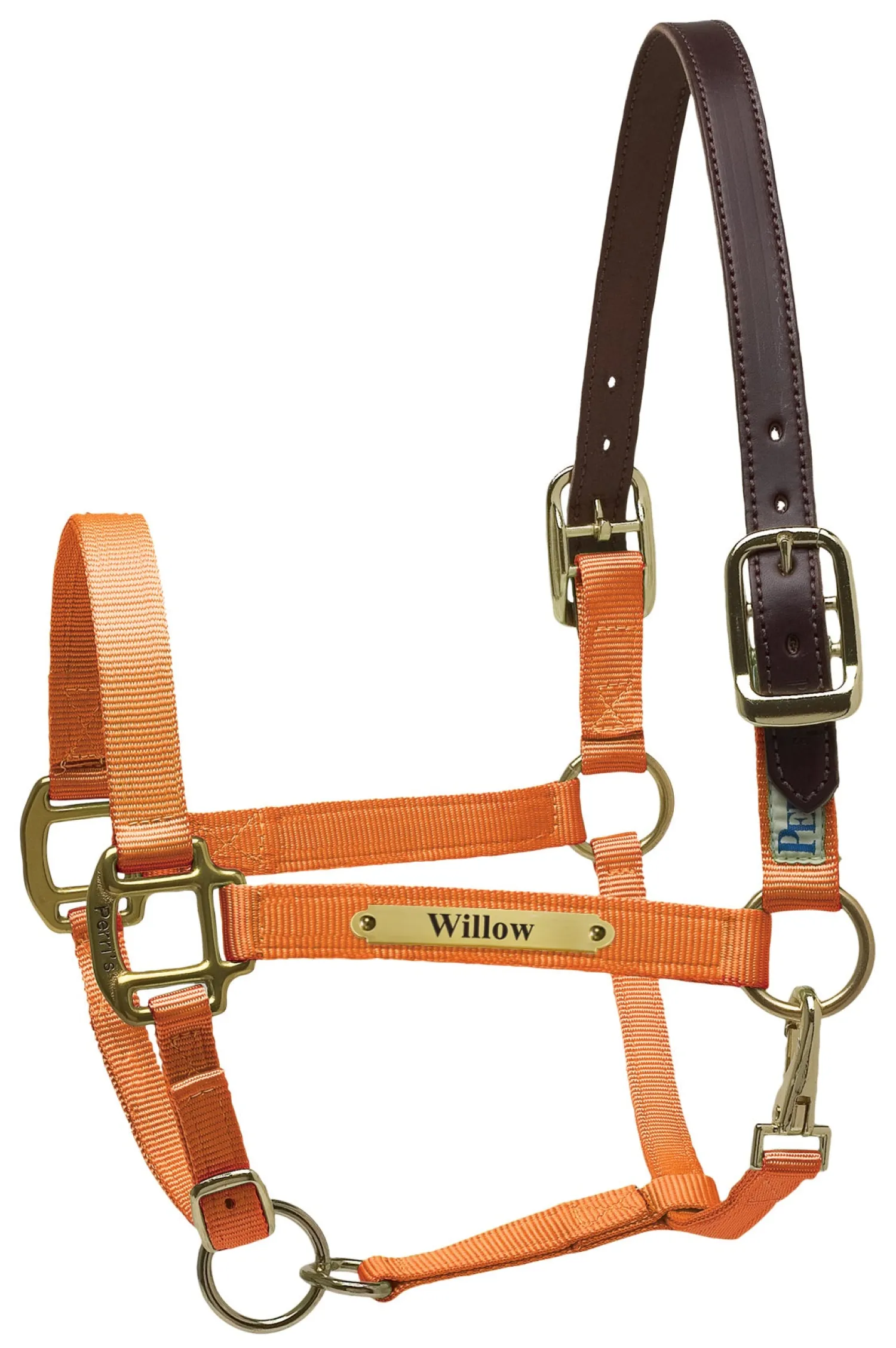 PERRIS LEATHER Perri’s® Premium Nylon Safety Halter with Nameplate Outlet