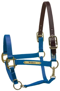 PERRIS LEATHER Perri’s® Premium Nylon Safety Halter with Nameplate Outlet