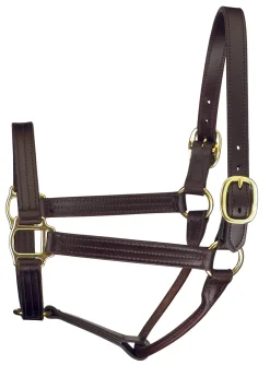 PERRIS LEATHER Perri’s® Premium Track Style Show Halter Havana Hot