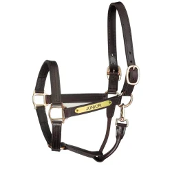 PERRIS LEATHER Perri’s® Premium Track Style Leather Show Halter with Snap & Nameplate Havana Clearance