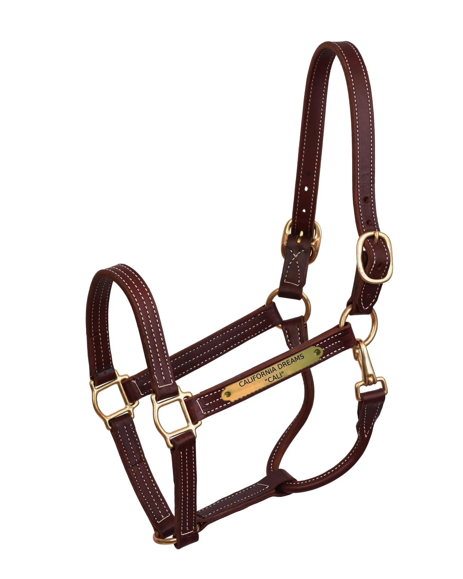 PERRIS LEATHER Perri’s® Professional Halter with Nameplate Best