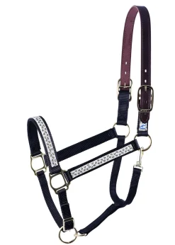PERRIS LEATHER Perri’s® Ribbon Trim Breakaway Halter Hot