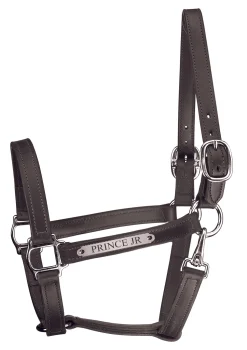PERRIS LEATHER Perri’s® Track Style Leather Turnout Halter with Snap Throat and Nameplate Outlet