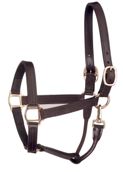 PERRIS LEATHER Perri’s® Track Style Show Halter with Snap Throat Havana Outlet