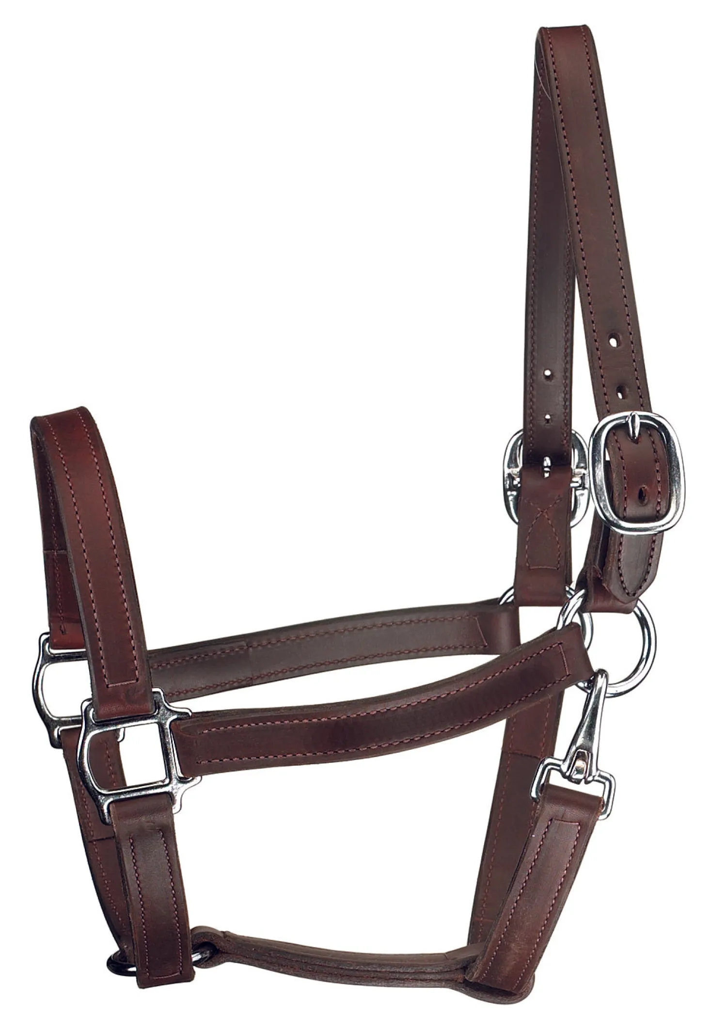 PERRIS LEATHER Perri’s® Track Style Turnout Halter with Snap Discount