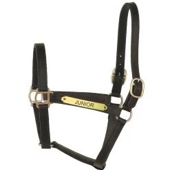 PERRIS LEATHER Perri’s® Track Style Turnout Halter with Snap Discount