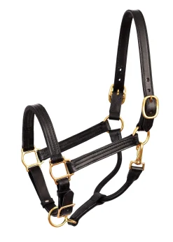 PERRIS LEATHER Perri’s® Premium Leather Show Halter Clearance