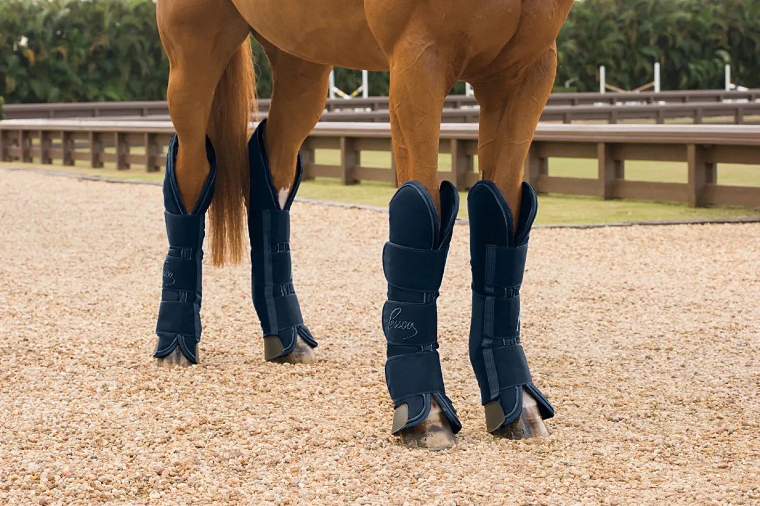 ERS Pessoa Shipping Boots