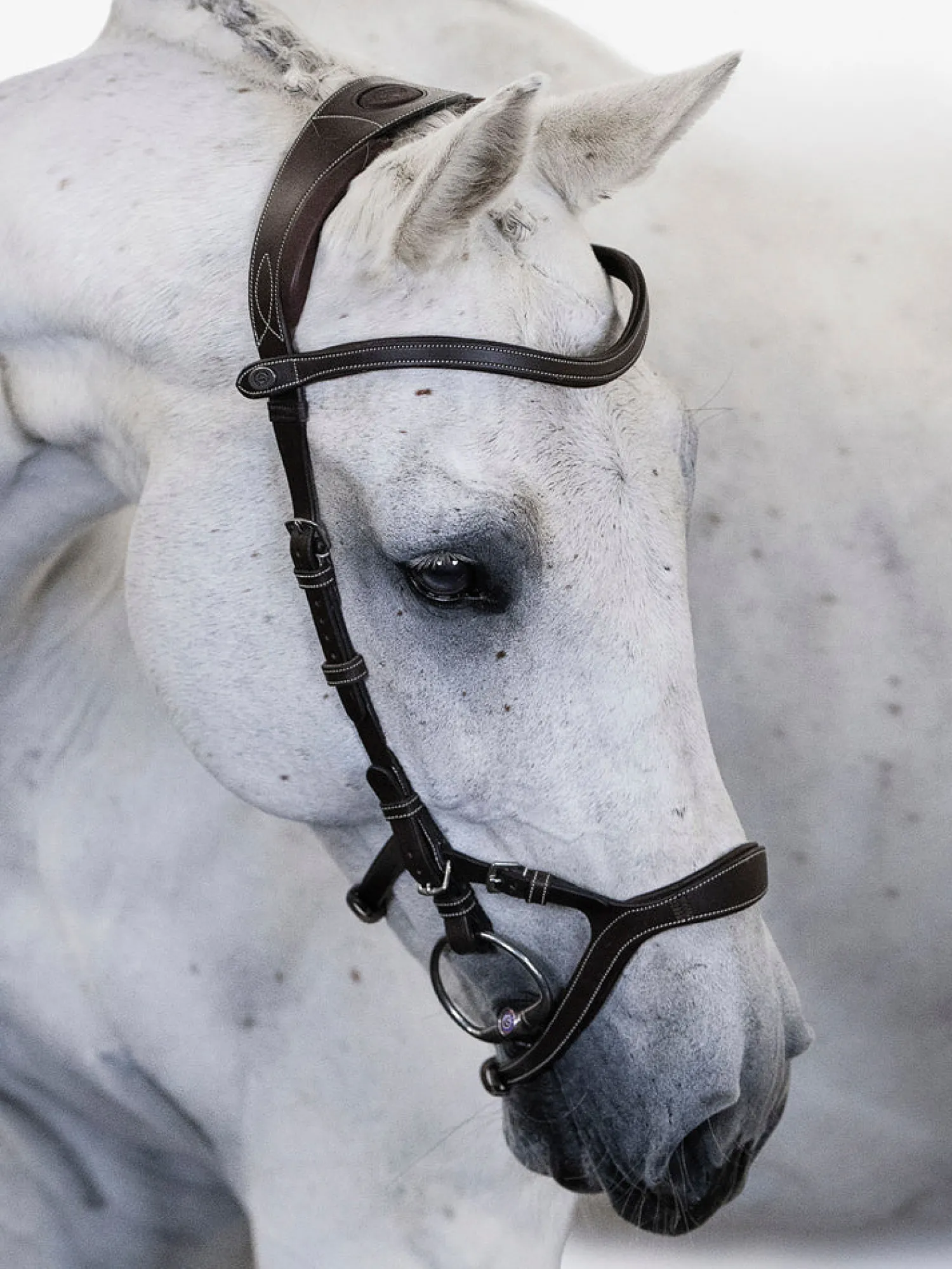 PS OF SWEDEN Nirak™ Bridle Discount