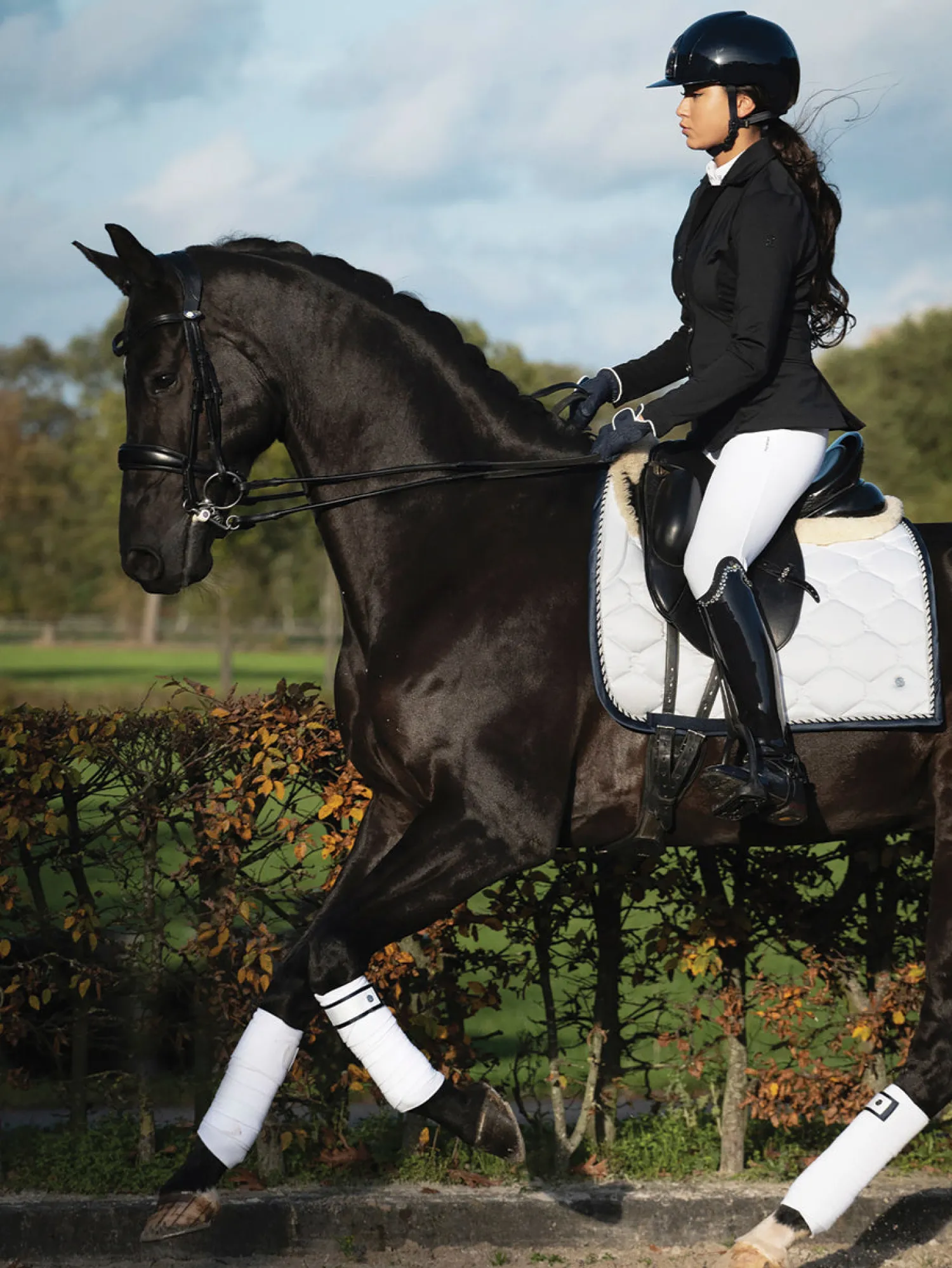 PS OF SWEDEN Signature Dressage Pad Hot