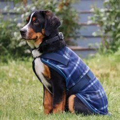 INTEX EQUESTRIAN Rider’s International™ Dog Cooler Navy Plaid New