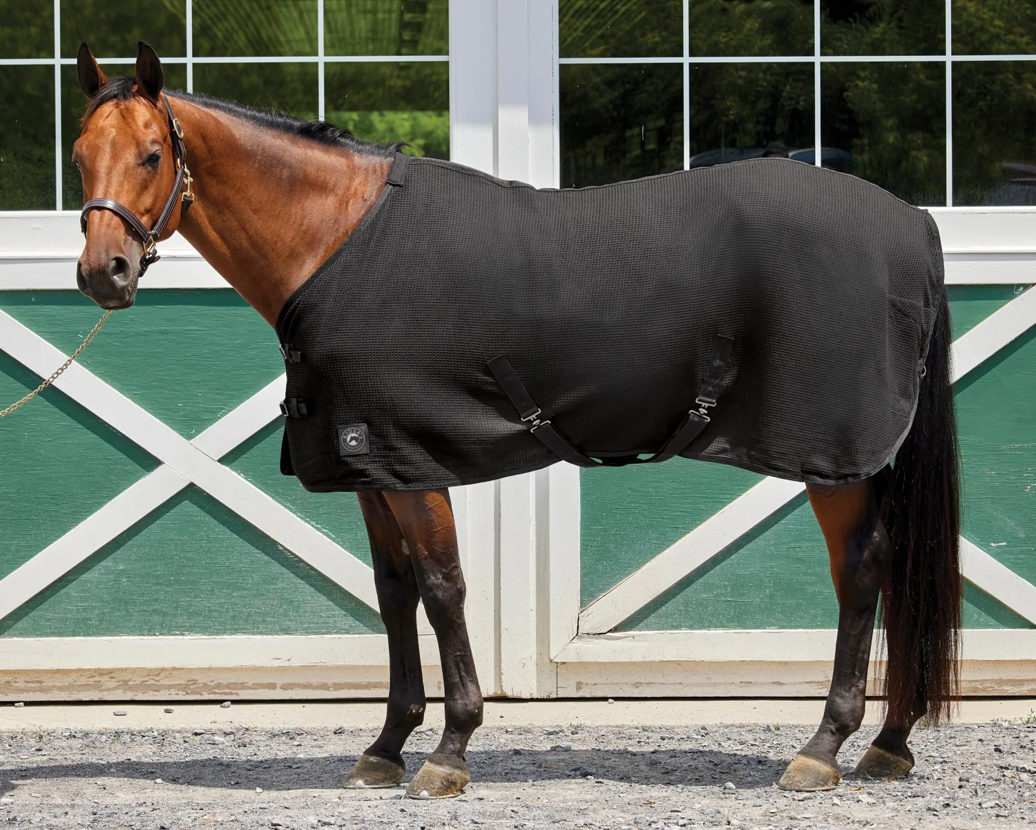 INTEX EQUESTRIAN Rider’s International™ Chill Chaser Online