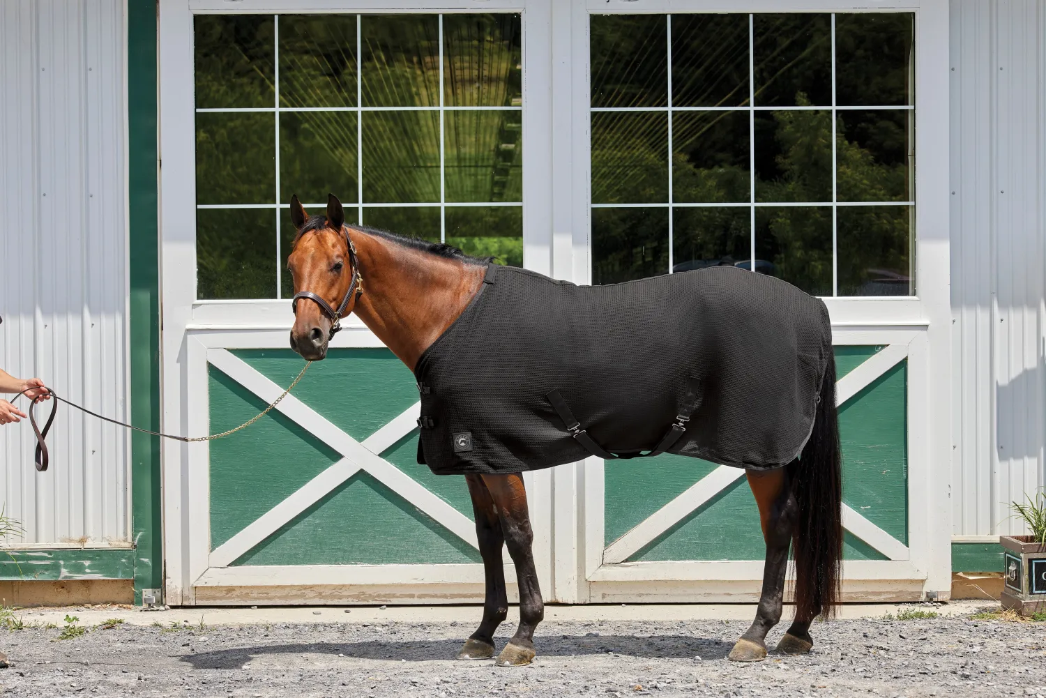 INTEX EQUESTRIAN Rider’s International™ Chill Chaser Online