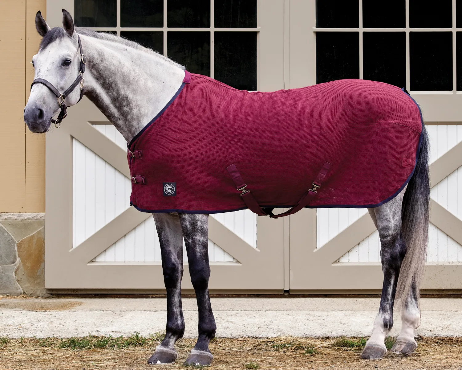 INTEX EQUESTRIAN Rider’s International™ Chill Chaser Online