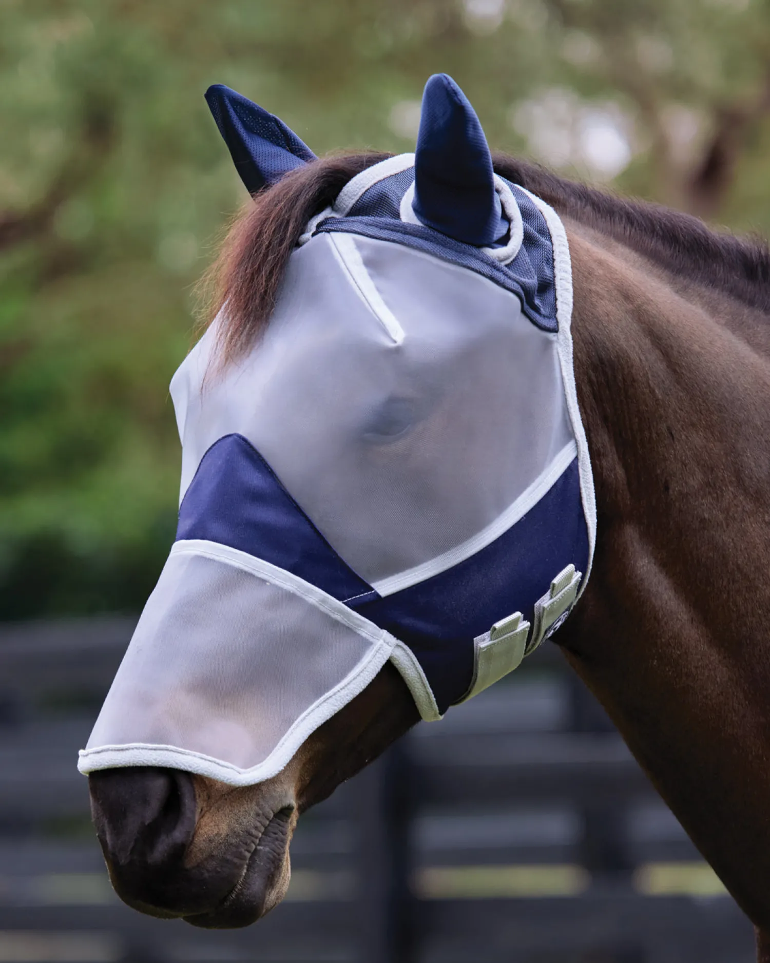 CWEAR BRANCH Rider's International™ Fine Mesh Fly Mask with Ears & Nose Grey/Blue Hot