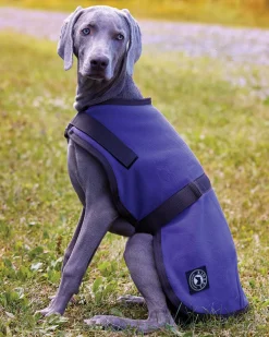 CWEAR BRANCH Rider’s International™ Fleece Dog Cooler Best