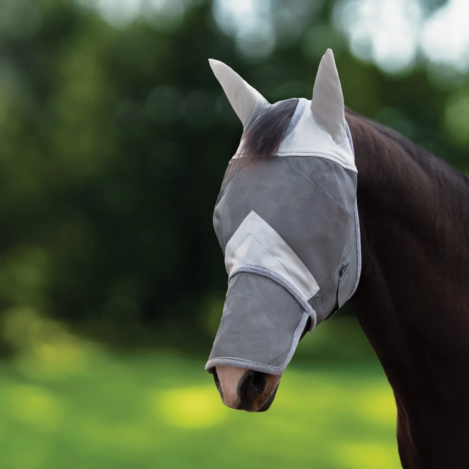 ALLIANZ CLOTHING Rider’s International™ Fly Mask with Ears & Nose Grey Discount