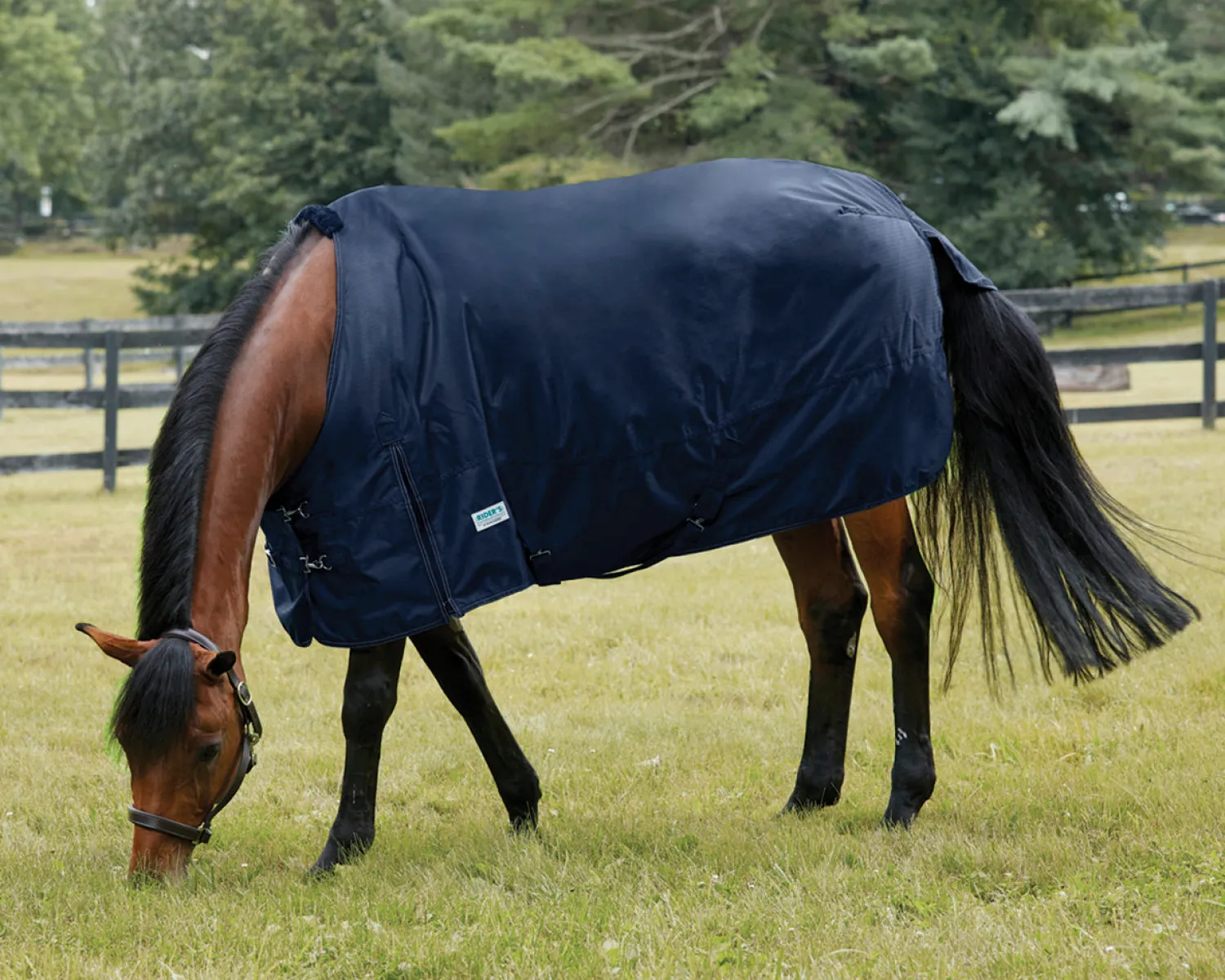 S.K. EXPORTS Rider’s International™ Heavyweight Turnout Blanket Outlet