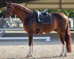 GLOBAL EXPORTS Rider’s International™ Luxury Dressage Pad Outlet