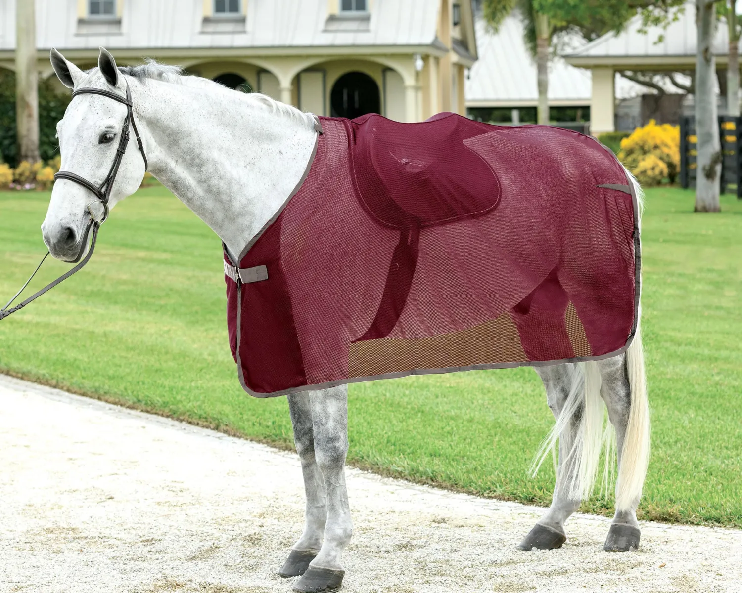 S.K. EXPORTS Rider’s International™ Ringside Scrim Sheet Discount