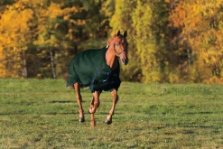 CWEAR BRANCH Rider’s International™ Supreme Heavyweight Turnout Blanket Sale