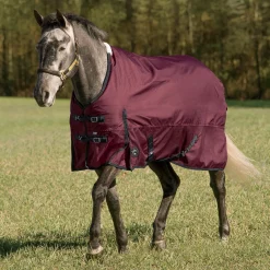 CWEAR BRANCH Rider’s International™ Supreme Heavyweight Turnout Blanket Sale