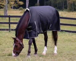 CWEAR BRANCH Rider’s International™ Supreme 100 Gram Turnout Blanket Online