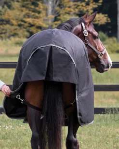 CWEAR BRANCH Rider’s International™ Supreme 100 Gram Turnout Blanket Online